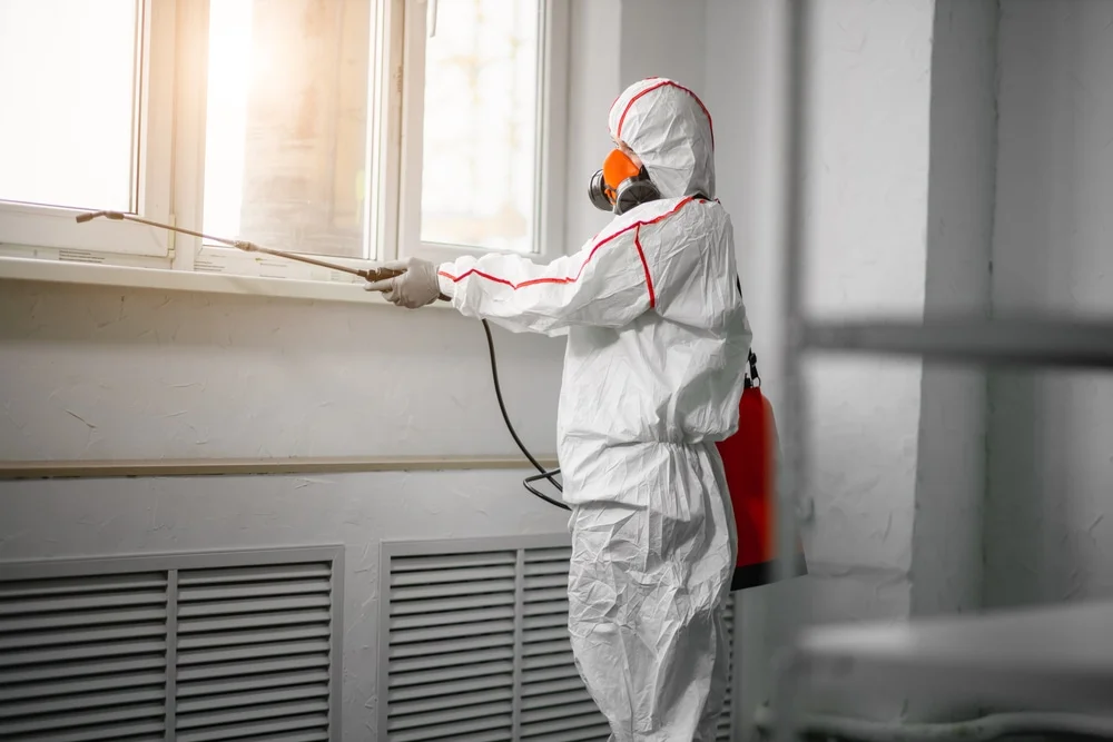 Professional mold remediation services in Riverside, TX